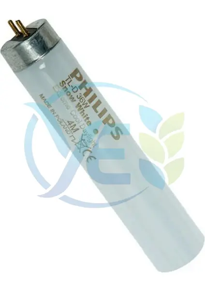 Philips 36W Snow White Floresan Ampul