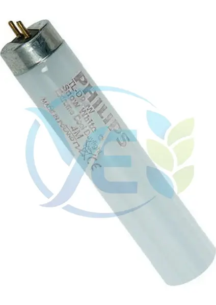 Philips 18W Snow White Floresan Ampul