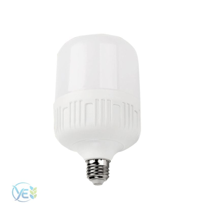 HLITE 40W E27 6500K LED TORCH AMPUL