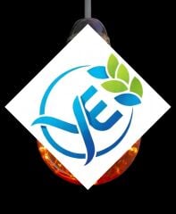 LEDOLET STAR LED AMPUL 2W G95 2200K