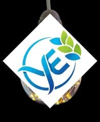 LEDOLET STAR LED AMPUL 2W G95 2200K