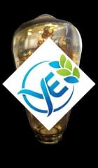 LEDOLET STAR DANCE AMBIANCE 2W FLAMENT LED AMPUL ST64 E27