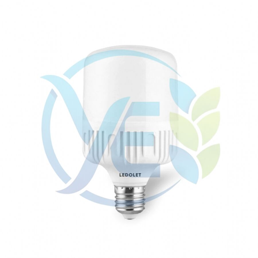 Ledolet Torch Led Ampul 25W 12/24 VDC